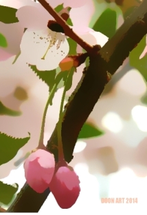 Doon art pink blossom blur